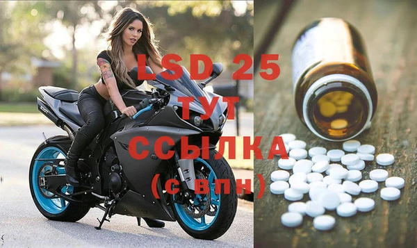 ГАЛЛЮЦИНОГЕННЫЕ ГРИБЫ Заводоуковск