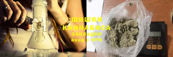 крисы Шали