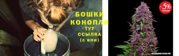ГАЛЛЮЦИНОГЕННЫЕ ГРИБЫ Заводоуковск