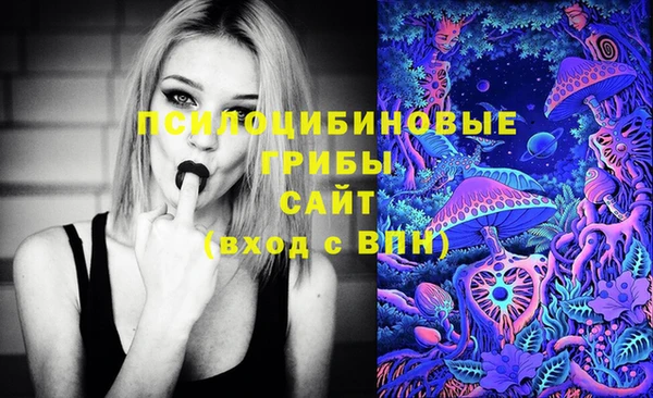 соль курить ск Дмитров