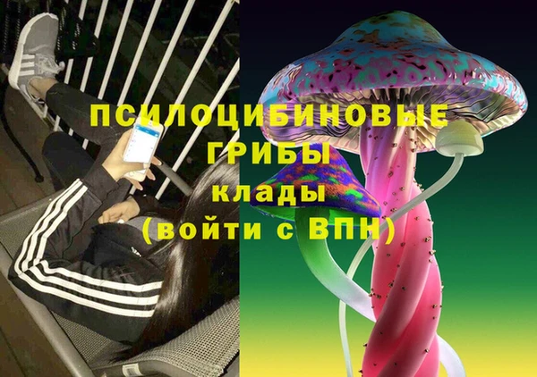 стаф Зеленодольск