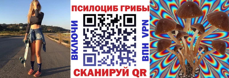 купить Малоархангельск Псилоцибиновые грибы MAGIC MUSHROOMS